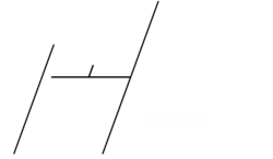 Tennis Ivanovation